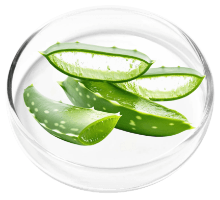 KeraFirm Pro Ingredients